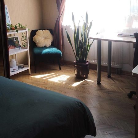 Cozy Room In Kaunas Kültér fotó