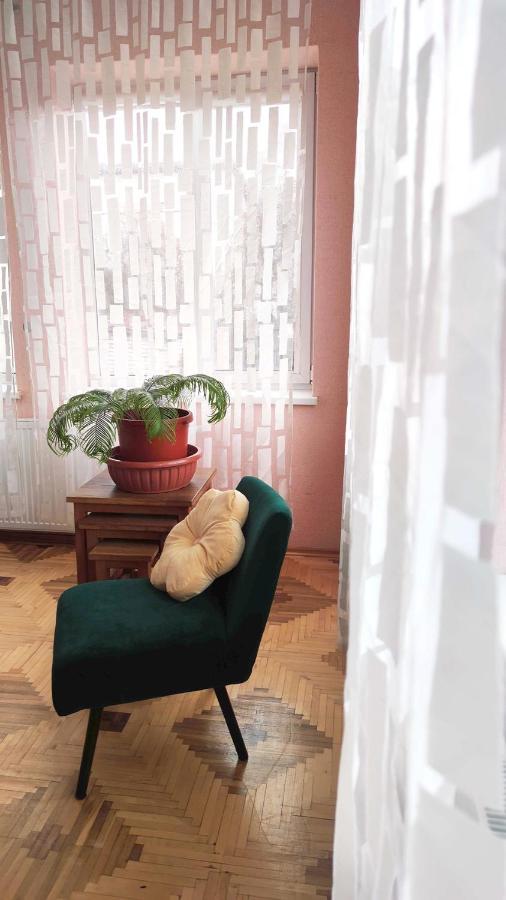 Cozy Room In Kaunas Kültér fotó