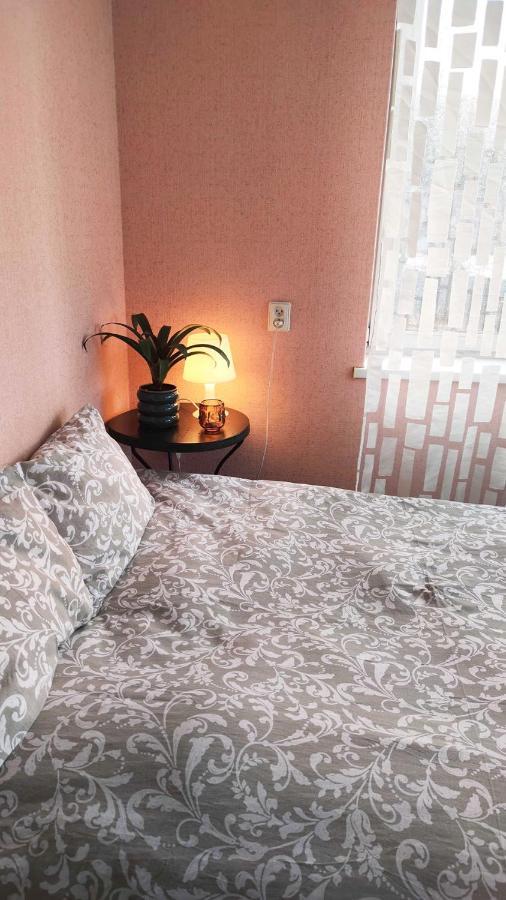 Cozy Room In Kaunas Kültér fotó